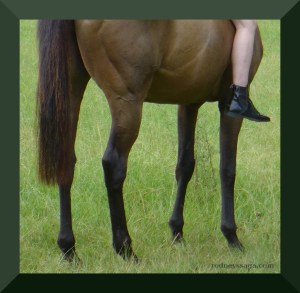 rather helmet partial feet