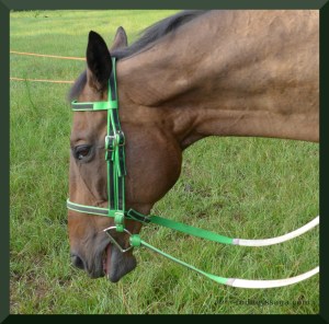 rather helmet Rodney