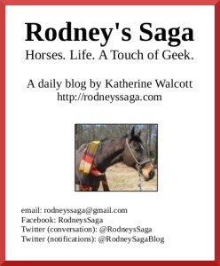 RS flyer August 2015