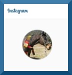 Instagram header August 2015