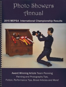 MEPSA Annual 2016