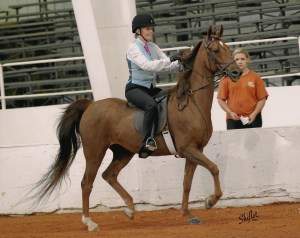  Asahado in 2014 Doug Shiflet Photography Purchased photo