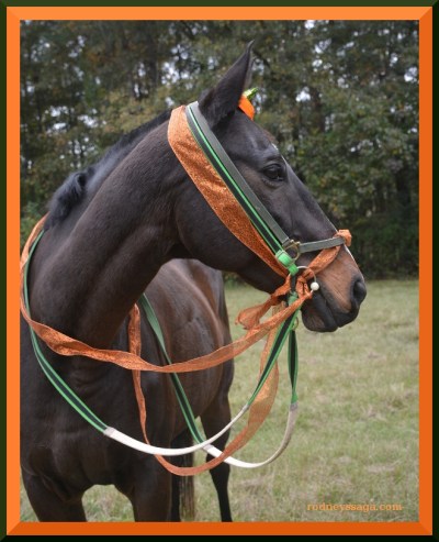 Is he sincere enough?