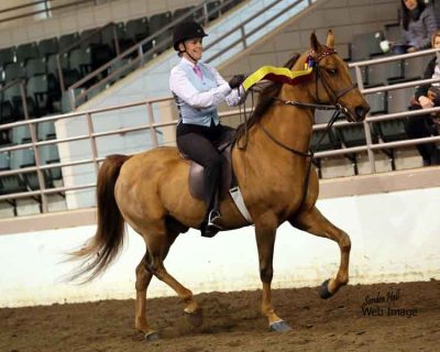 Sultan's Miracle Man Sandra Hall Photography