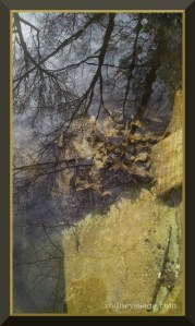 water trough Jan 18 2016 wm