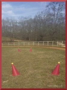 cones feb 2016