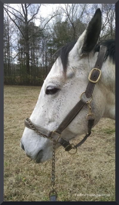 Milton grump Feb 2016