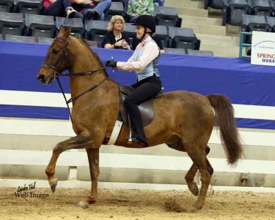 Sultan’s Miracle Man Sandra Hall Photography Web image with purchase