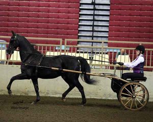 Alvin & Katherine MSSP 2016 Photo by Sandra Hall Used with permission