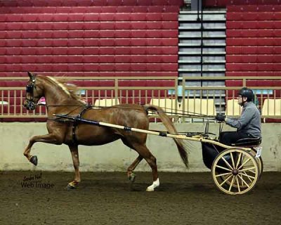 Posh & Greg Photo by Sandra Hall Used with permission