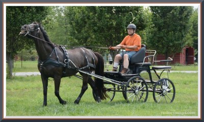 Dude! Watch the hands!