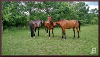 Jewel [center], holding her breath (and me holding my breath) that her new friends would accept her into the Cool Kids Club.