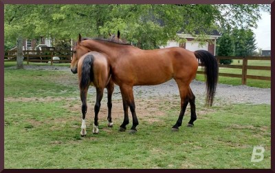 “I’m going to hug her and pet her and squeeze her, and call her ‘George’.”