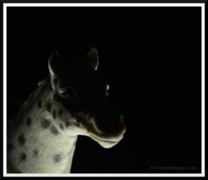 spotted under lighting