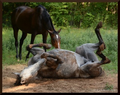 The obligatory post-bath roll.