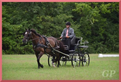 Photo by Gerald Plock