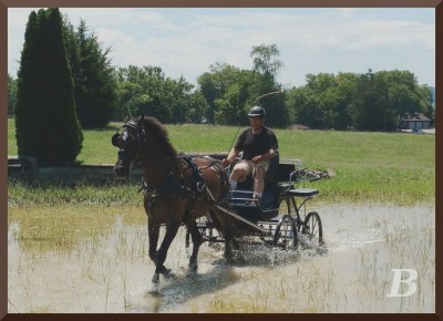 Photo by Kate Bushman