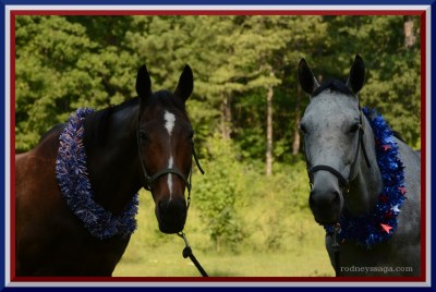 stars & stripes 2016