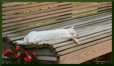 SSF photo field trip Claw