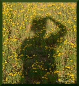 SSF photo field trip selfie