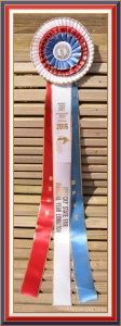 Louisville 2016 1st timer ribbon