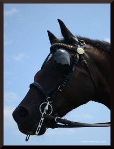 lyricc-headshot-ii-sep-2016