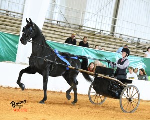 Alvin Ailey & Katherine ACCHS 2016 Terry Young Photography