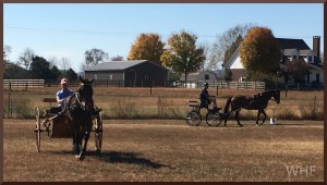 Kate & Jewel, Greg & Bliss Photo by Whip Hand Farm
