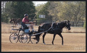 Greg & Lyricc Photo by Whip Hand Farm