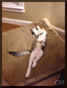 Brother from another mother.