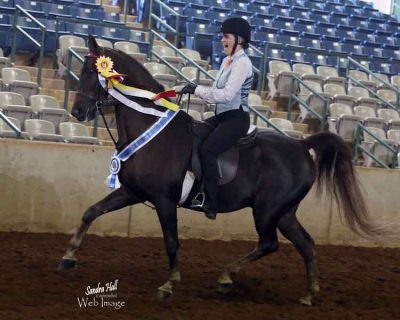 naf15-059-056__1-8x10-katherine-walcott-wi