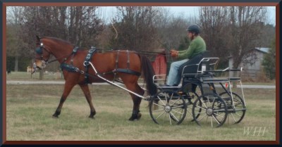 Bliss & Greg Photo by Kate Bushman
