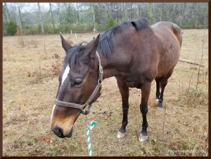 I don't waaaaana. It's too much wooooork.