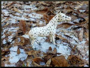 Spotted in the sleet. Note ice-encased leaf in the bottom right corner.