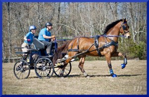 AWWCC Driving Derby 2017 Photo by Angie DePuydt