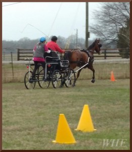  Photo by Kate Bushman