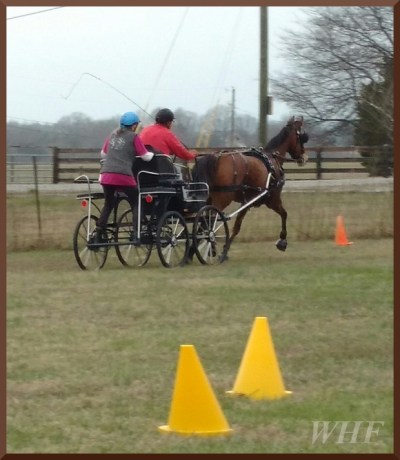 From left to right: Katherine, Greg, Bliss Photo by Kate Bushman