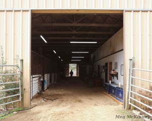 The darkened hallway of a stables may seem scary to a horse, because their eyes are slower to adjust to low lighting than a human’s eyes. What they first see is a dark place, which may have predators lurking.