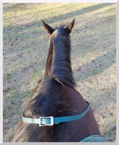 Rodney displays his command of chill