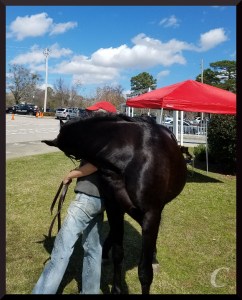 Alvin mugs me for a treat.