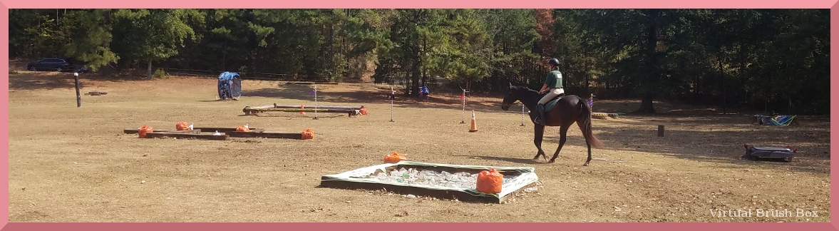 AOCS LC novice enter