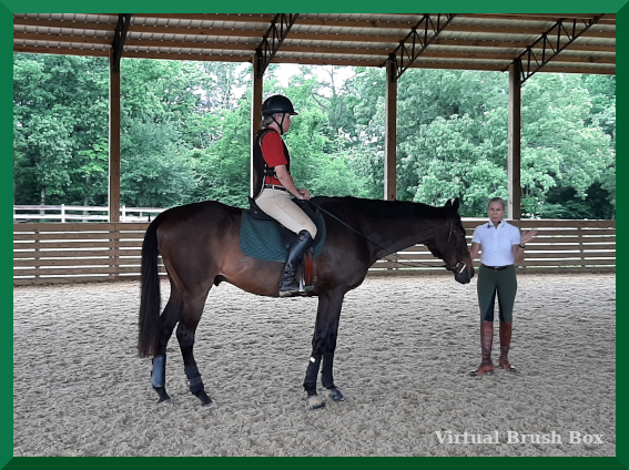 Rodney, Rider Position, and More Saddlebred Than I Was Expecting ...