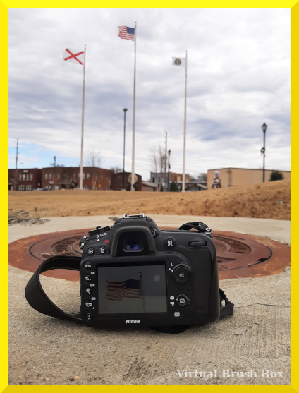 Wind, Photography – Virtual Brush Box