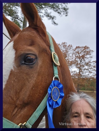 Selfie with chestnut horse and blue ribbon