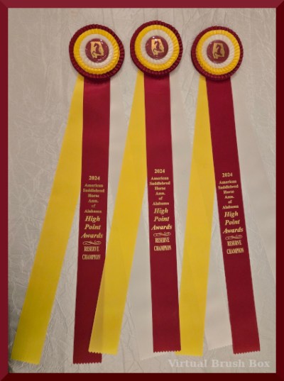 Photo of three horse show ribbons