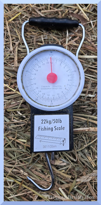 photo of a fishing scale