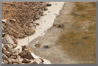 photo of ice on the edge of water
