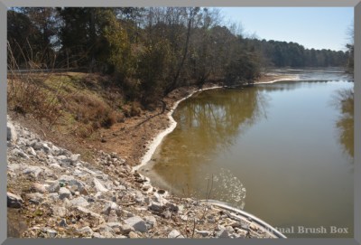 photo of a small body of water