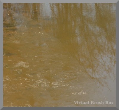 close up photo of river water