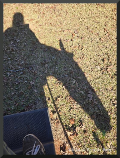 photo of shadow of horse and human